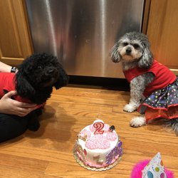 Cleo's Barkery - My bday girls