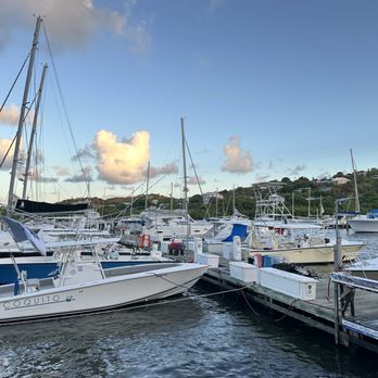 Tarpon's Table - The docks from the dining table - New American Near Me - Red Hook, Virgin Islands
