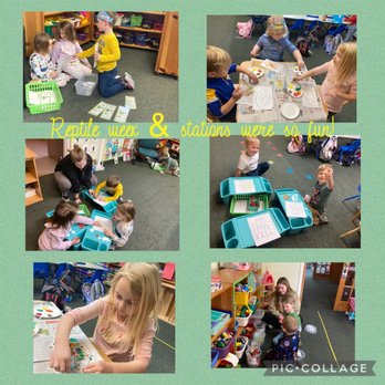 Happy Apple Learning Center - More Reptile fun - Elementary Schools Near Me - Irwin, Pennsylvania