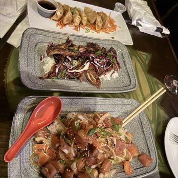 The Tiki Terrace - Potstickers, Beef Grilled Korean Shortribs,  Poke Tuna - Hawaiian Near Me - Des Plaines, Illinois
