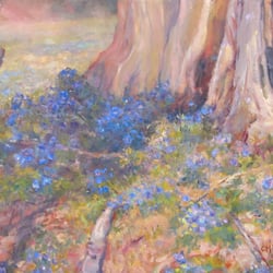 Catherine M Elliott