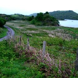 Loch Sween - Loch Sween