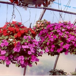 McCarter Dallman Farm and Garden Center