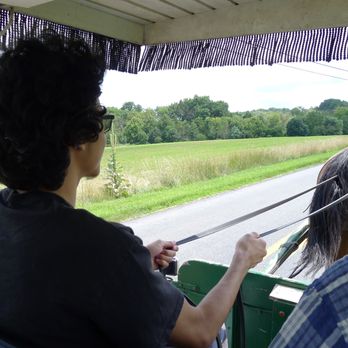 Abe's Buggy Rides - Nephew driving the horse & carriage - Tours Near Me - Bird In Hand, Pennsylvania