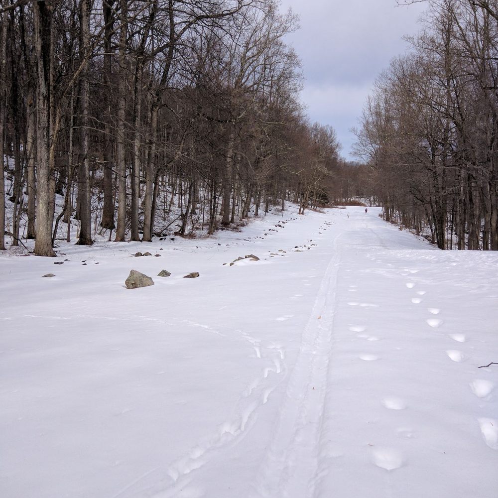 Snowy conditions on the historical side