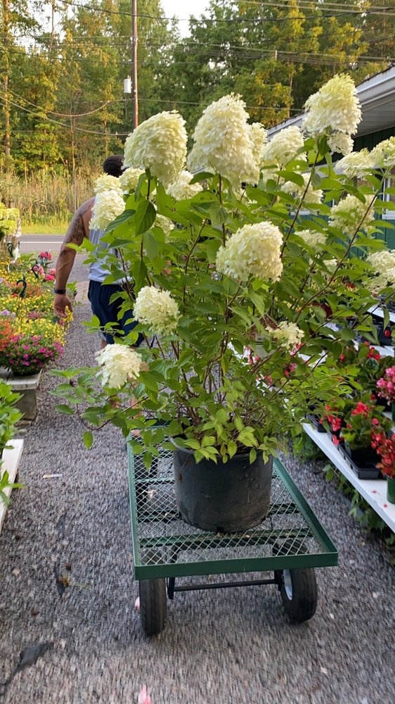 GREEN TOP FARM MARKET Updated September 2024 1811 Route 70