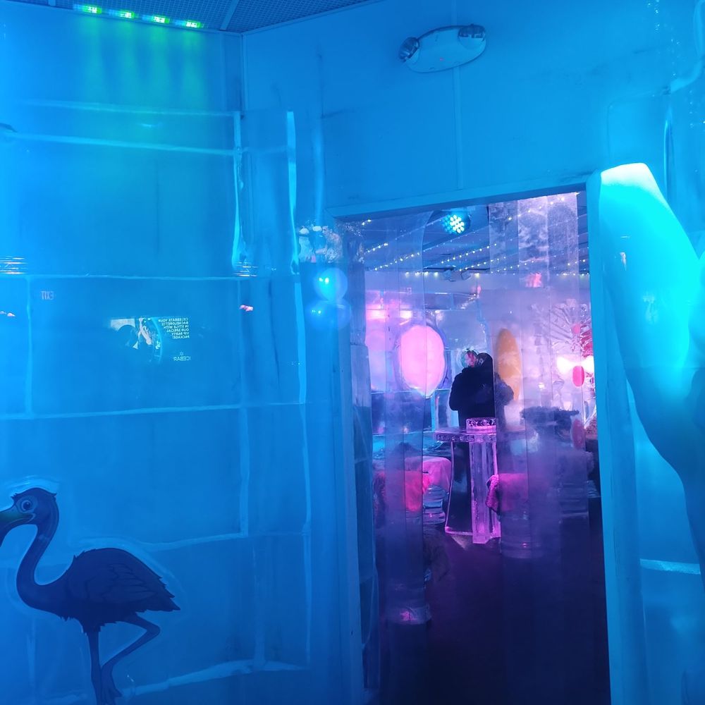 ICEBAR Orlando - Entrance to ice bar area - Dance Clubs Near Me - Orlando, Florida ICEBAR Orlando - Entrance to ice bar area - Dance Clubs Near Me - Orlando, Florida