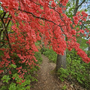 Moore State Park - Spring Color - Parks Near Me - Paxton, Massachusetts Moore State Park - Spring Color - Parks Near Me - Paxton, Massachusetts