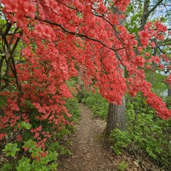 Moore State Park - Spring Color