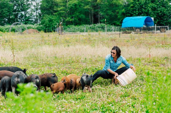 Alluvial Farms by null