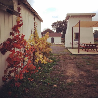 Canihan Wines by null