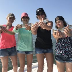 Finatics Fishing Charters