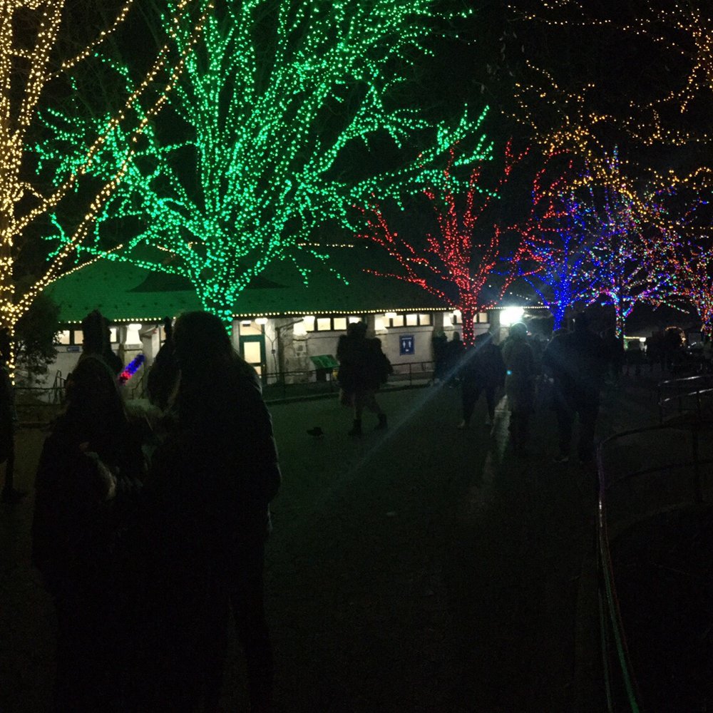 ZooLights - Zoos Near Me - Washington, DC, District of Columbia