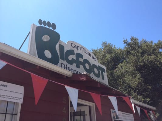 Bigfoot Discovery Museum by null