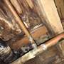 First Choice Inspections