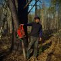 Photo of Black Oak Tree