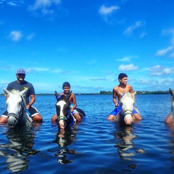 Florida Beach Horses - Beaches Near Me - Bradenton, Florida