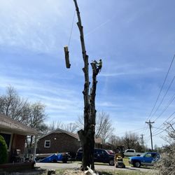 Gdb Professional Tree Services