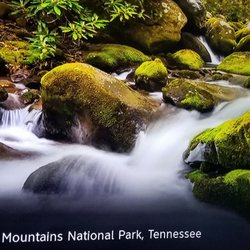 Atlanta Badminton Club - Great Smoky Mountains National Park, Tennessee