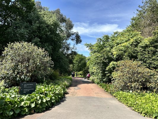 Royal Botanic Garden Edinburgh by null