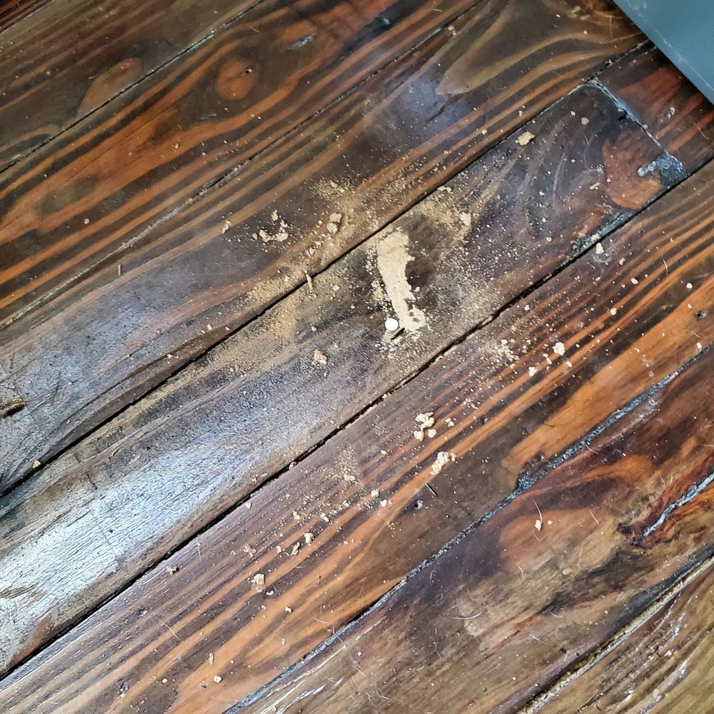 Arrow Termite & Pest Control - Proof termites were here. - Pest Control Near Me - Slidell, Louisiana