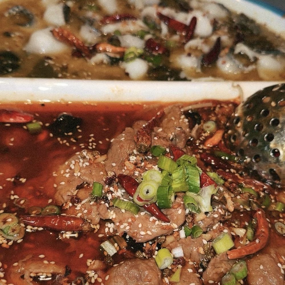 Yao Yao Restaurant - Fish Fillet & Spicy Beef Combo - Chinese Near Me - San Leandro, California