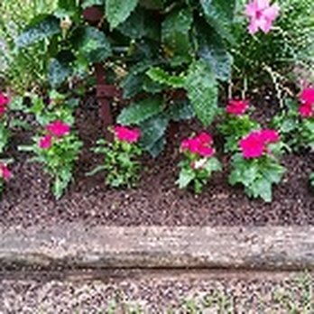 Tri-State Hardscapes - a flower bed - Landscaping Near Me - Dothan, Alabama Tri-State Hardscapes - a flower bed - Landscaping Near Me - Dothan, Alabama