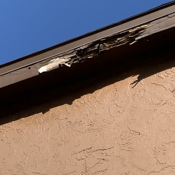 The Oasis at Wekiva - Apartments Near Me - Apopka, Florida
