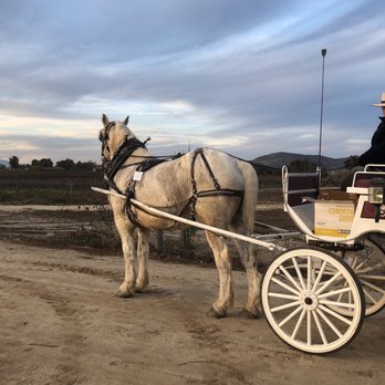 Temecula Carriage Company - Stopping for sunset photos. - Wine Tours Near Me - Temecula, California Temecula Carriage Company - Stopping for sunset photos. - Wine Tours Near Me - Temecula, California