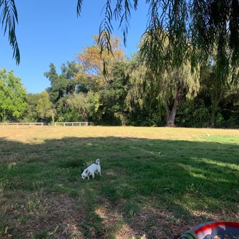 Tabano Hollow Open Space - Open space - Dog Parks Near Me - Santa Barbara, California Tabano Hollow Open Space - Open space - Dog Parks Near Me - Santa Barbara, California