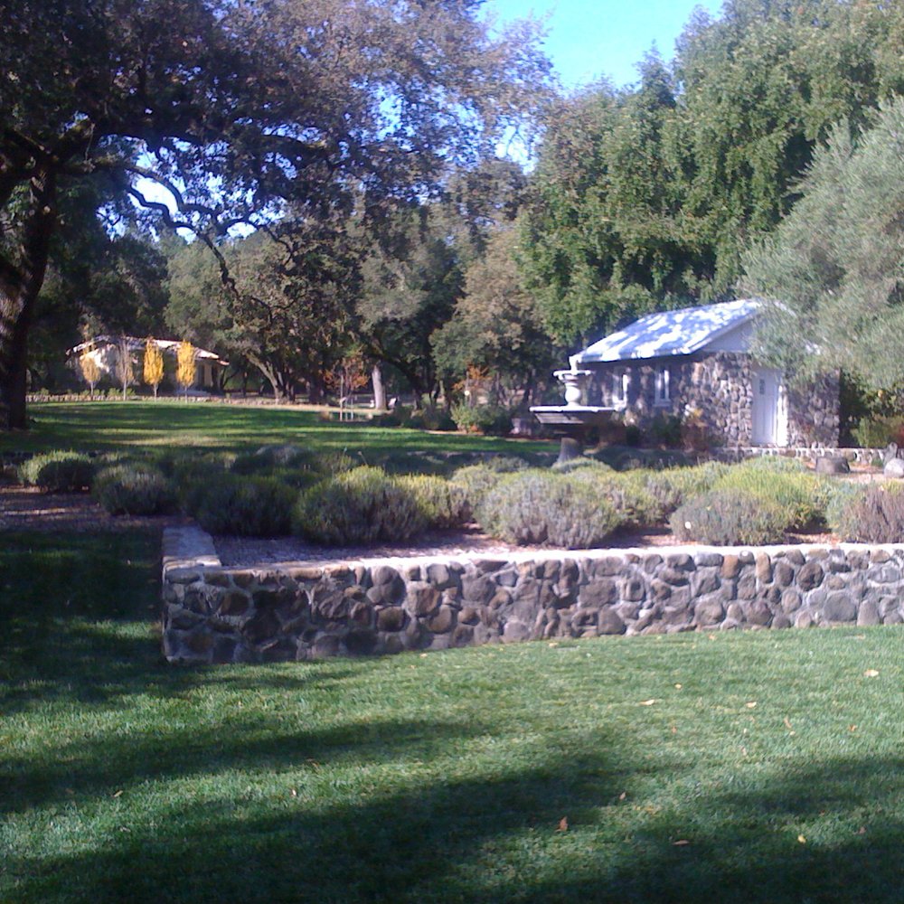 Eternal Landscape Solutions - Stone walls, lavender garden and stone building by Roy's. - Landscaping Near Me - Sonoma, California