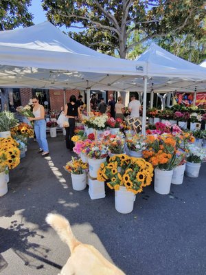Melrose Place Farmers Market by null