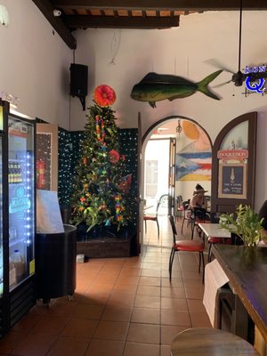 Palmas El Rincón De Paco by null