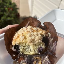 Blueberry muffin Blueberry muffin