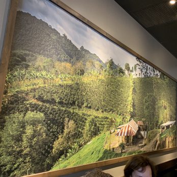 Starbucks - Soothing scene - Coffee & Tea Near Me - Boynton Beach, Florida