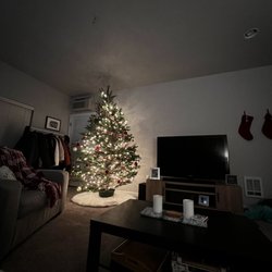 Farrell Farms Christmas Trees - Our decorated tree!