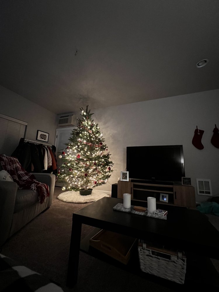 FARRELL FARMS CHRISTMAS TREES 11 Photos 3000 Se 362nd Ave