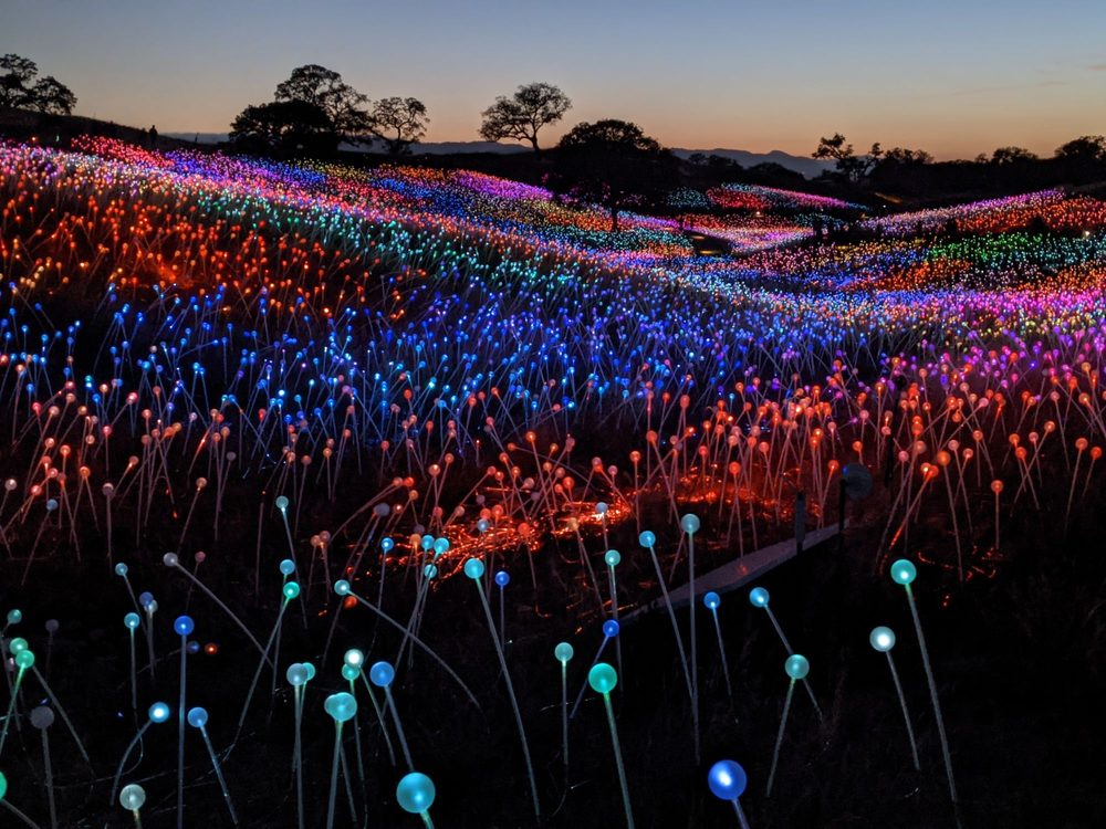 Photo of Sensorio - Paso Robles, CA, United States. So beautiful when it got dark.