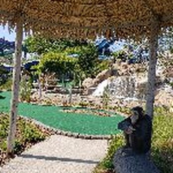 Jungle Jim's - Accessories Near Me - Rehoboth Beach, Delaware