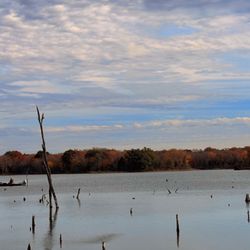 Purtis Creek State Park