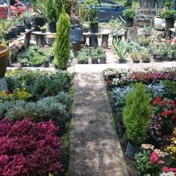 Vivero Satelite