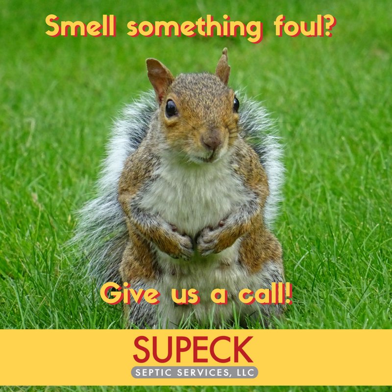 Slide of Supeck Septic Services