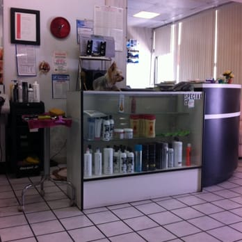 Linda's Salon - Dog on counter--unprofessional. - Hair Salons Near Me - Winnetka, California Linda's Salon - Dog on counter--unprofessional. - Hair Salons Near Me - Winnetka, California