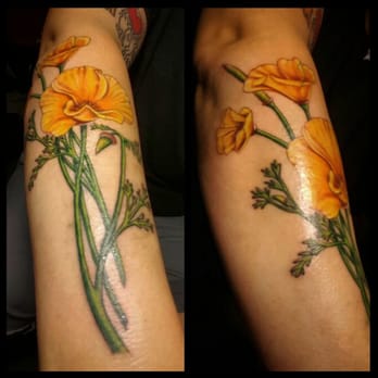 Good Omen Tattoo - California Poppy Vintage Illustration by Felipe. - Tattoo Near Me - Scotts Valley, California Good Omen Tattoo - California Poppy Vintage Illustration by Felipe. - Tattoo Near Me - Scotts Valley, California