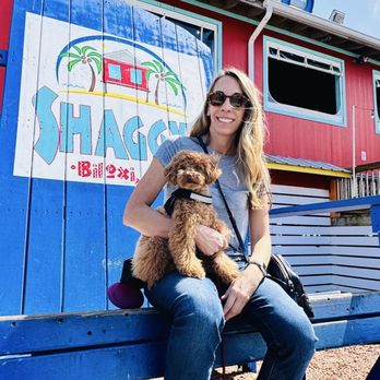 Shaggy's Biloxi Beach - Dog Friendly! - Bars Near Me - Biloxi, Mississippi Shaggy's Biloxi Beach - Dog Friendly! - Bars Near Me - Biloxi, Mississippi