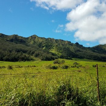 Kipu Ranch Adventures - Perfection. - Tours Near Me - Lihue, Hawaii Kipu Ranch Adventures - Perfection. - Tours Near Me - Lihue, Hawaii