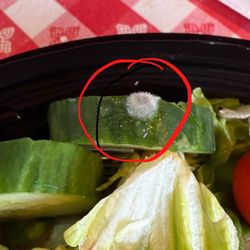 Pizza Hut - Fungus