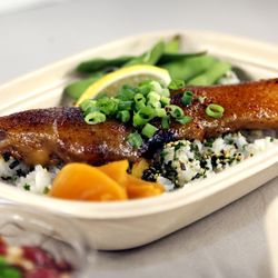 Maguro Brothers Hawaii - Miso Hamachi Grilled...