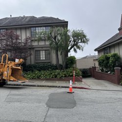 Mountain Valley Tree Service