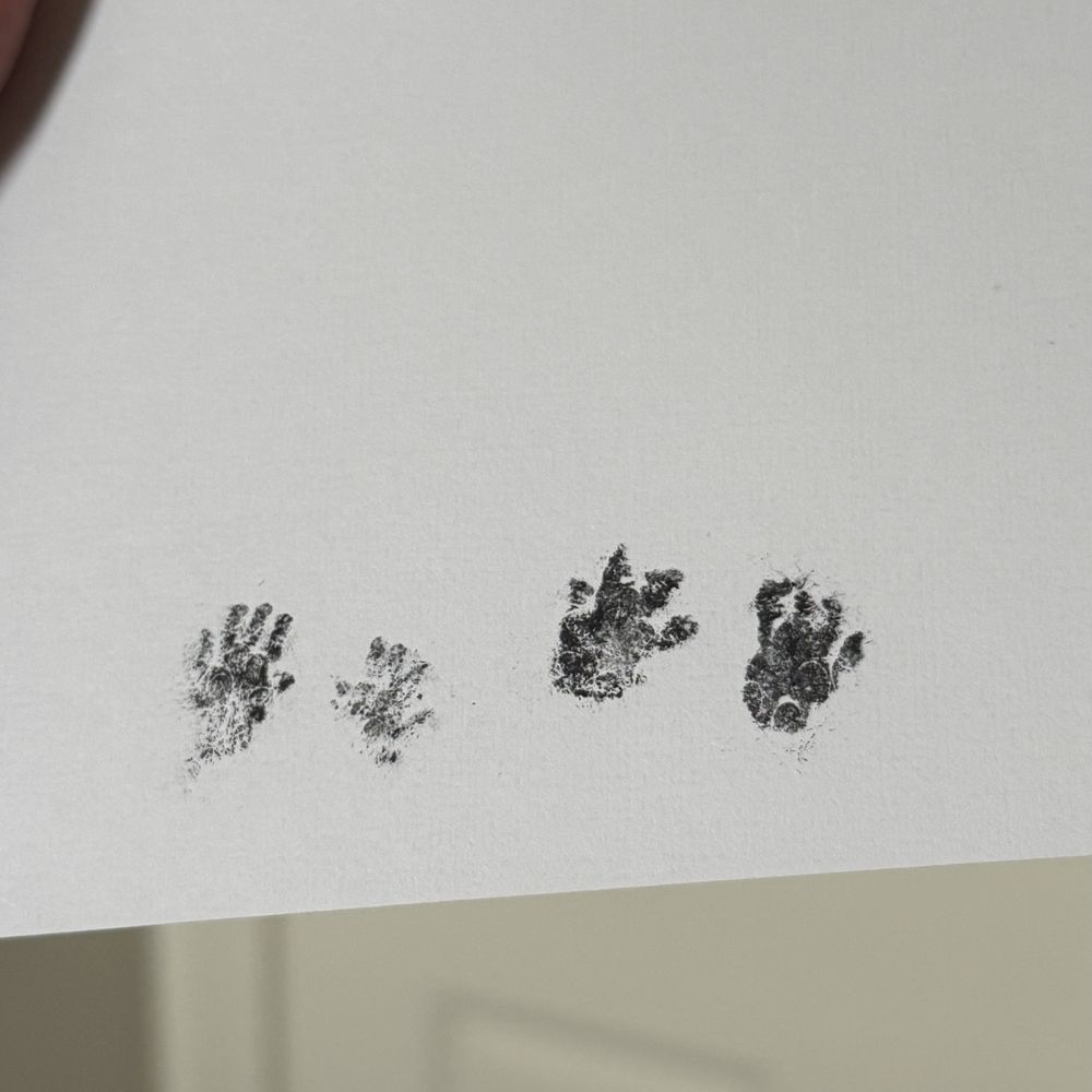 Exotic Animal Veterinary Center - Hamster paw prints they took after death. The nurse did a horrible job and looked like she was crushing his paws. - Veterinarians Near Me - Pasadena, California